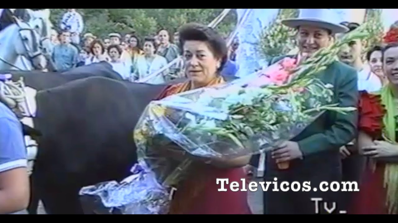 Televicos Aracena Romería Alajar. Resumen 14 años. 
