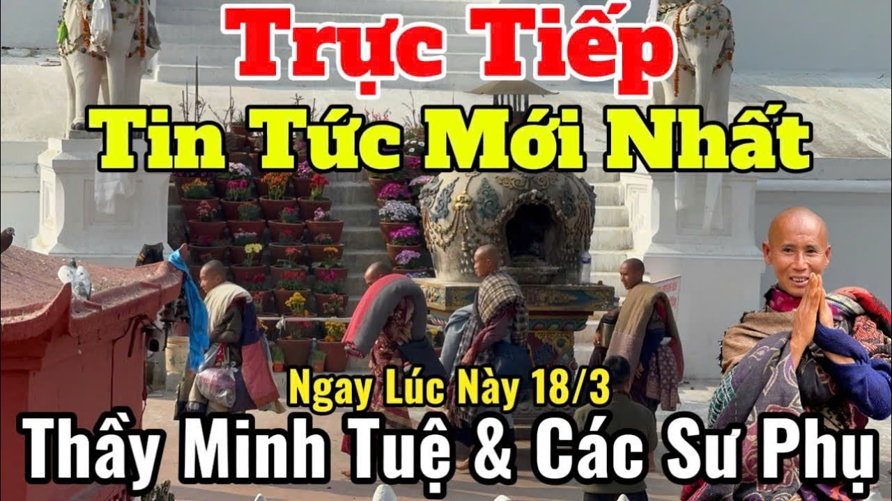 Trực Tiếp Tin Tức Mới Nhất Thầy Minh Tuệ & Các Sư Phụ Ngay Lúc Này 18/3 | 2Sư Phụ Nhập Đoàn #moinhat
