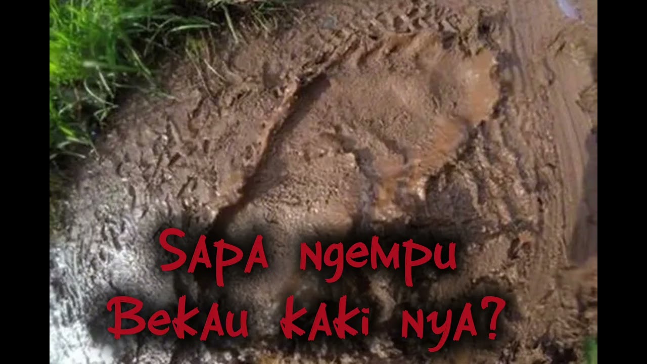 Ngasu..