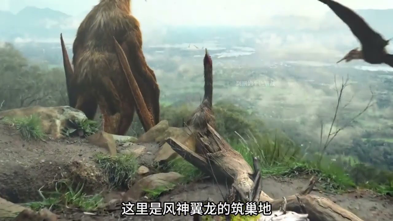 强大的翼龙类生物！ #恐龙 #翼龙 #古生物