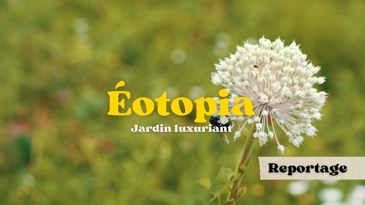 13 👁️‍🗨️  EOTOPIA - Petite visite rapide du jardin luxuriant | Allier | Reportage