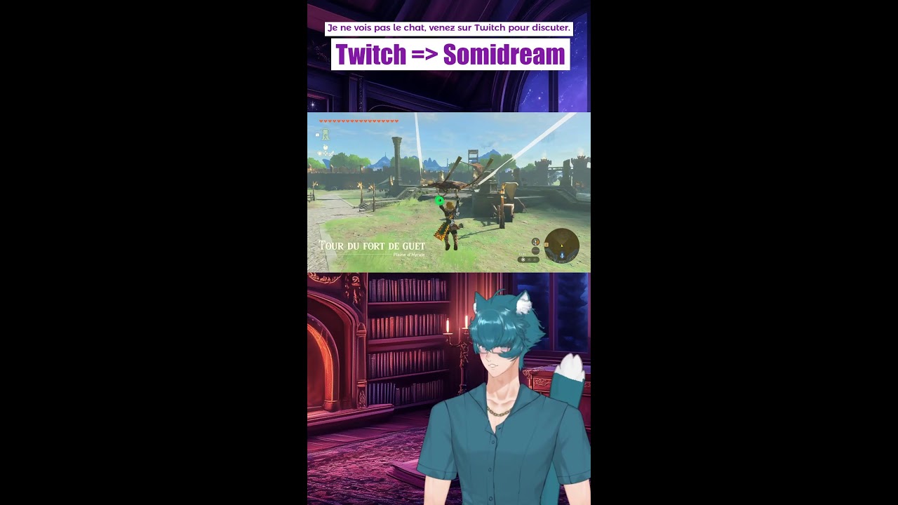 Zelda