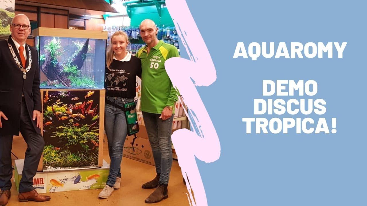 AquaRomy Demo Discus Tropcia