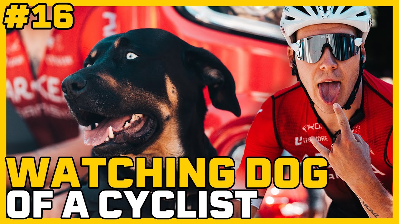 BAS DOODSBANG VOOR HOND HOFSTETTER | TOUR DE FRANCE 2022 #16