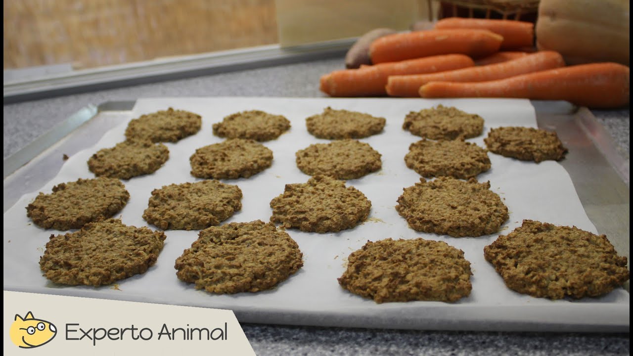 Galletas de avena para perros