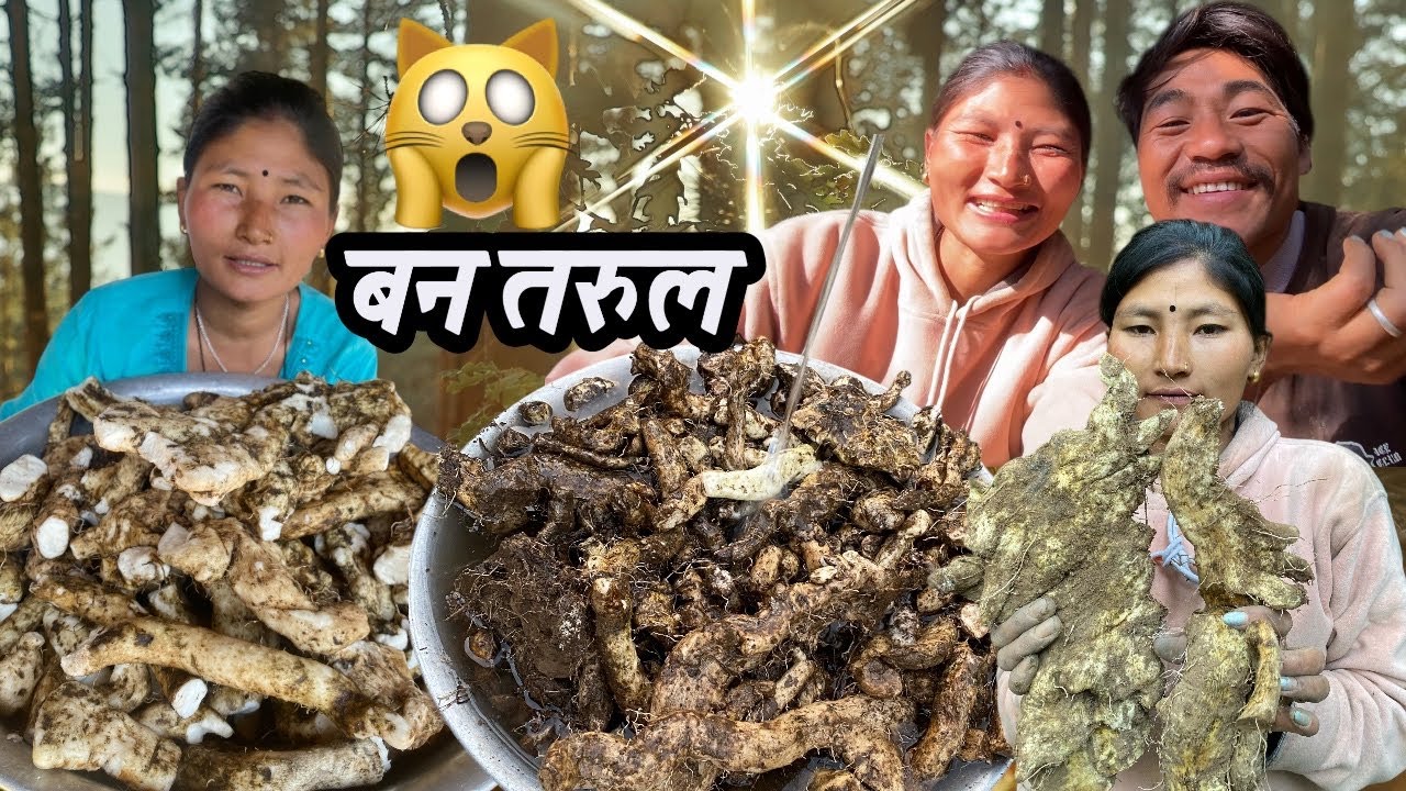 बन तरुल खान मिठो खन्न गारो// सुरुमा हरेस खाईयो अन्तिममा एत्ति धेरै Eat sweet yams and dig a hole.