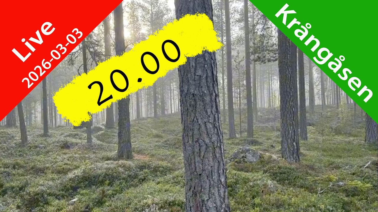 Tisdagslive - Precis som vanligt