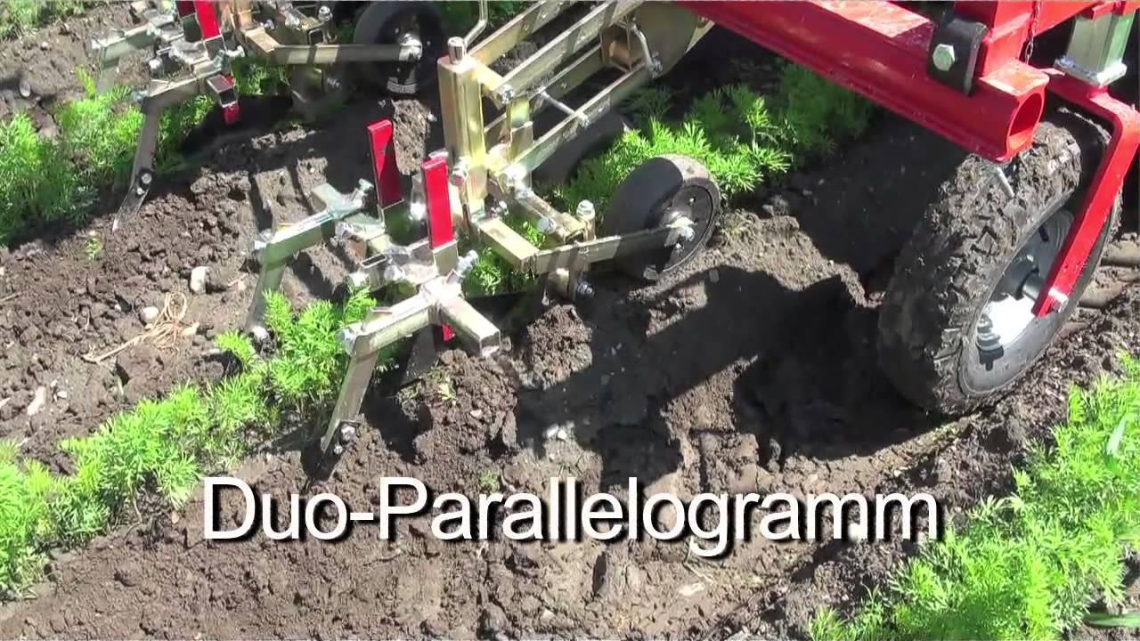 Maschinendemo: Unkrautregulierung im Biogem&uuml;sebau (Schweizerdeutsch)
