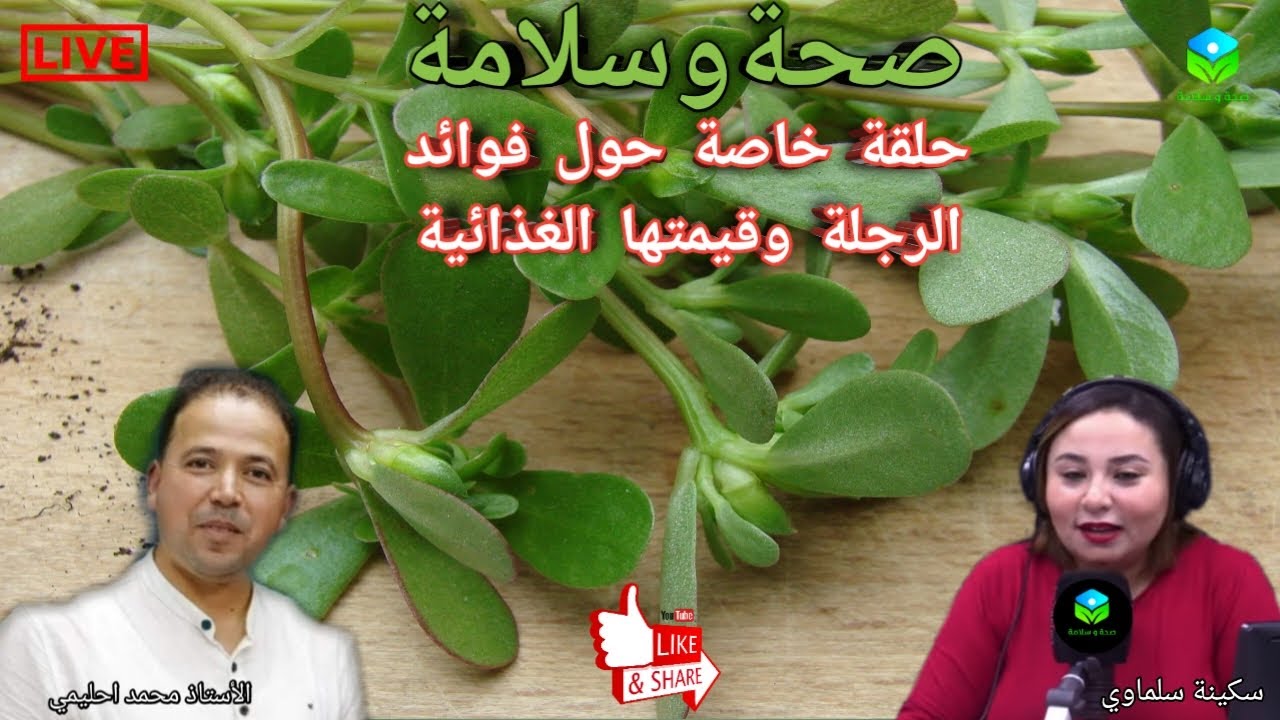 🔴 حلقة خاصة حول فوائد الرجلة وقيمتها الغذائية 🌿🌱 مع الأستاذ محمد احليمي اختصاصي التغذية الصحية