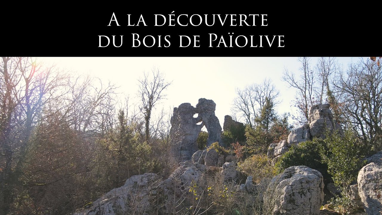 A la découverte du Bois de Païolive