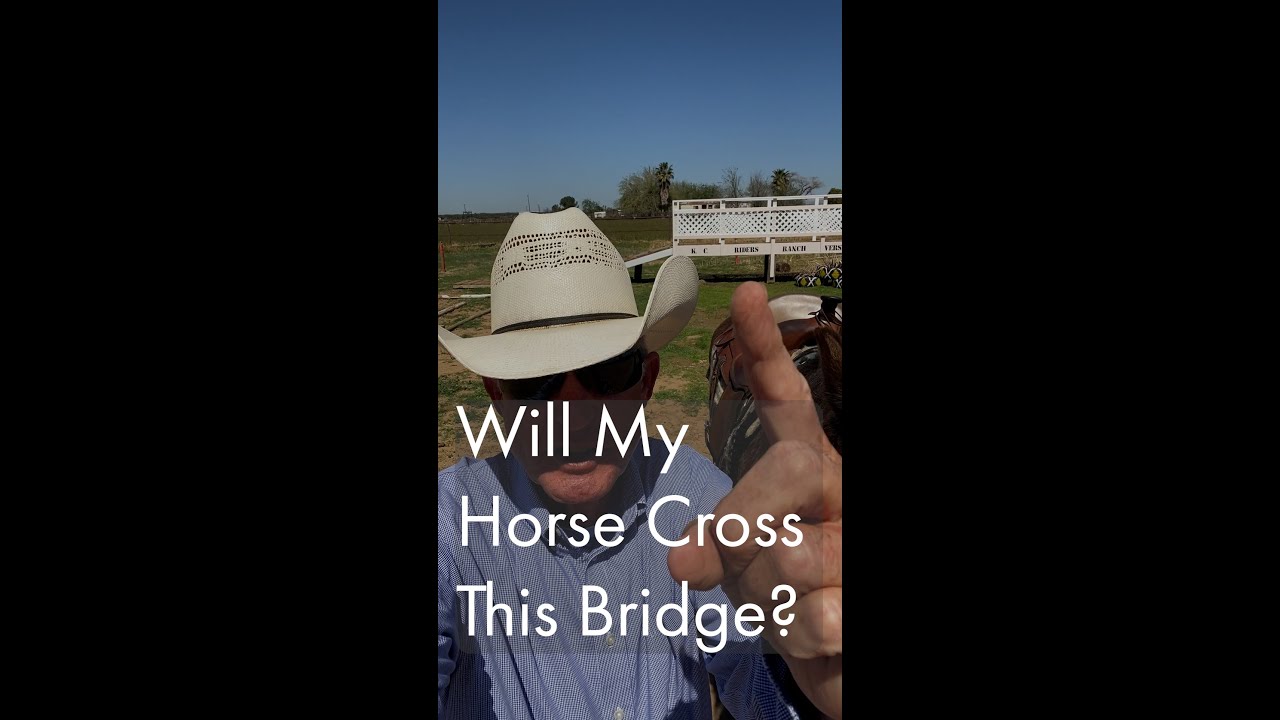 Elevated Bridge Obstacle. Can My Horse Cross It?