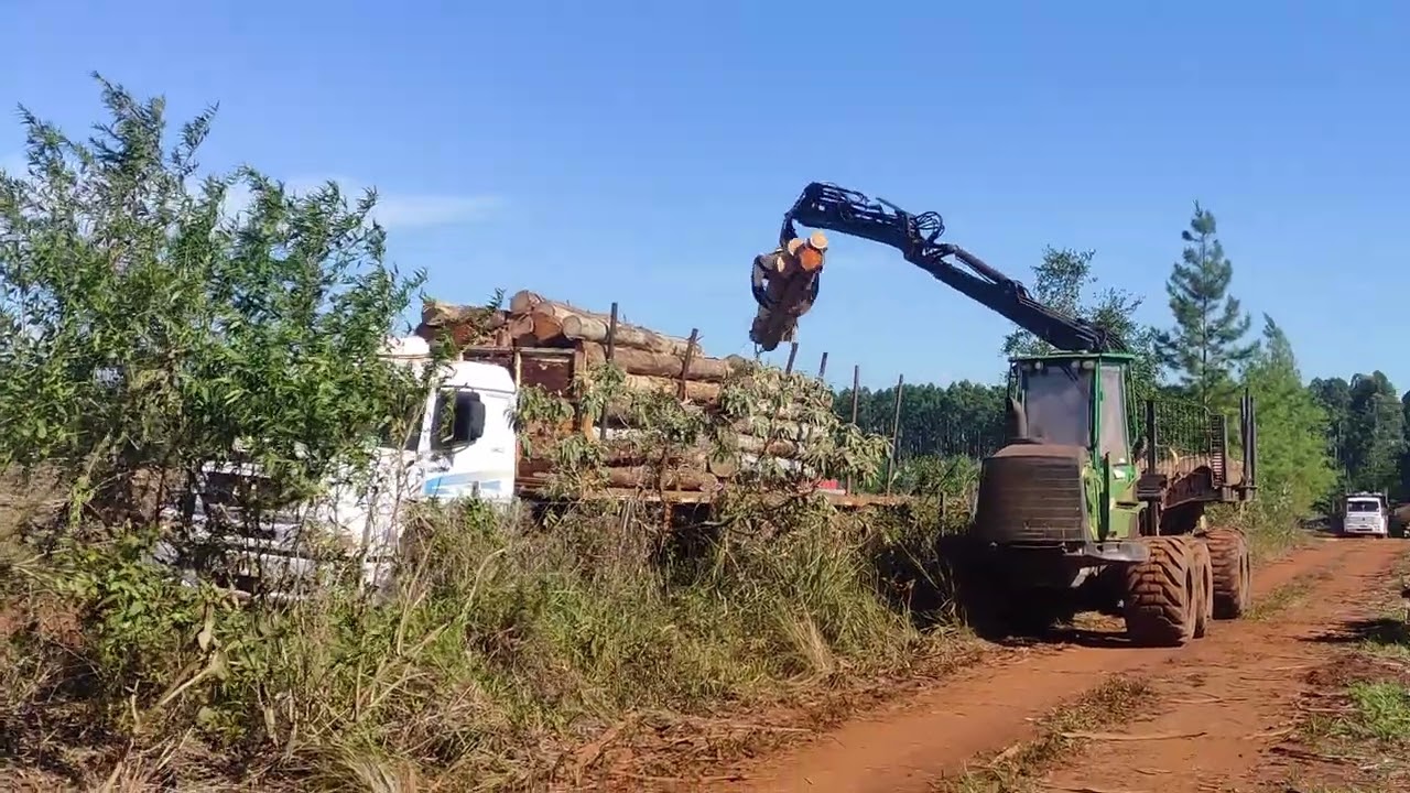Carga de #caminhão con #forwarder #jondeere #forest #viralvideo #viral #viralshorts #viralshort 