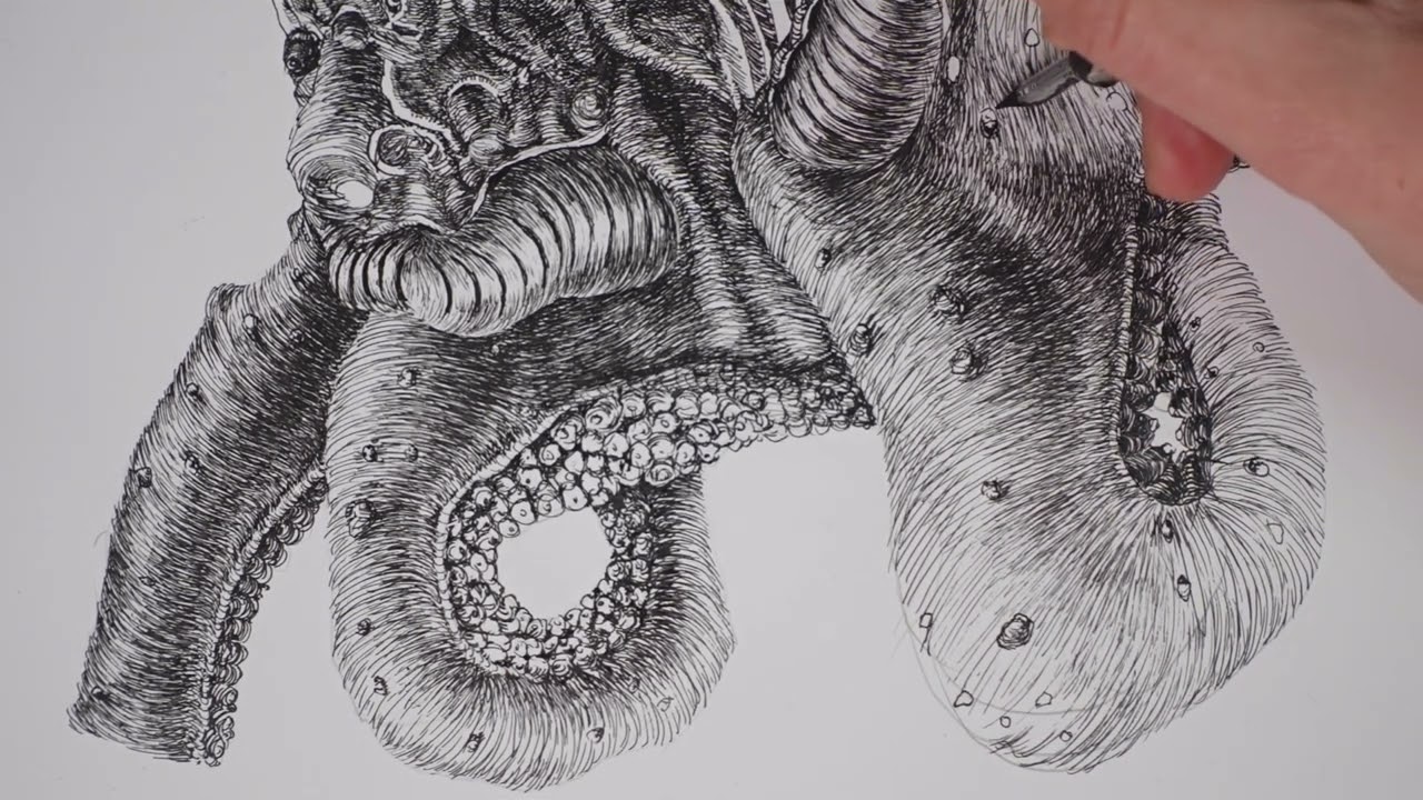 octopus dip pen drawing