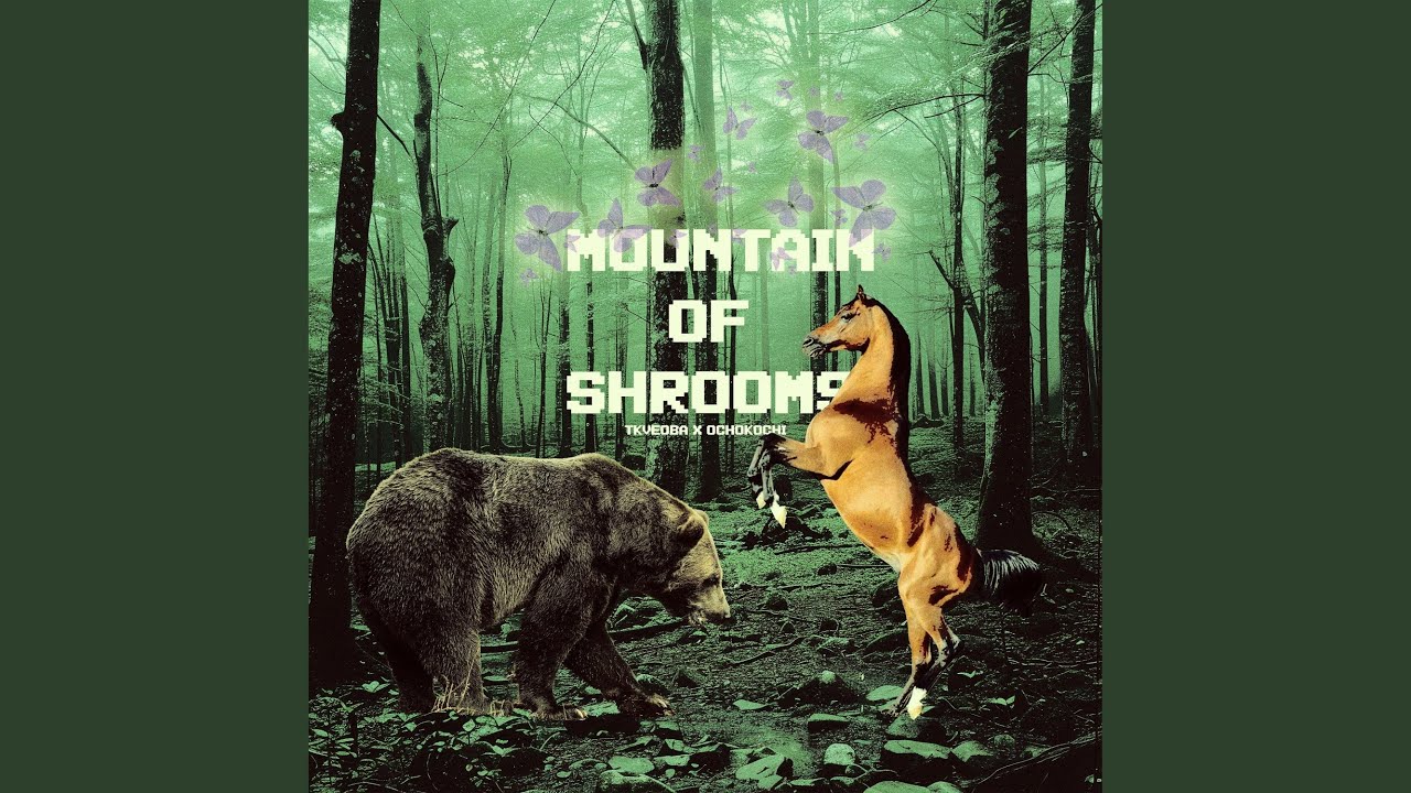 Mountain Of Shrooms (feat. OCHOKOCHI)