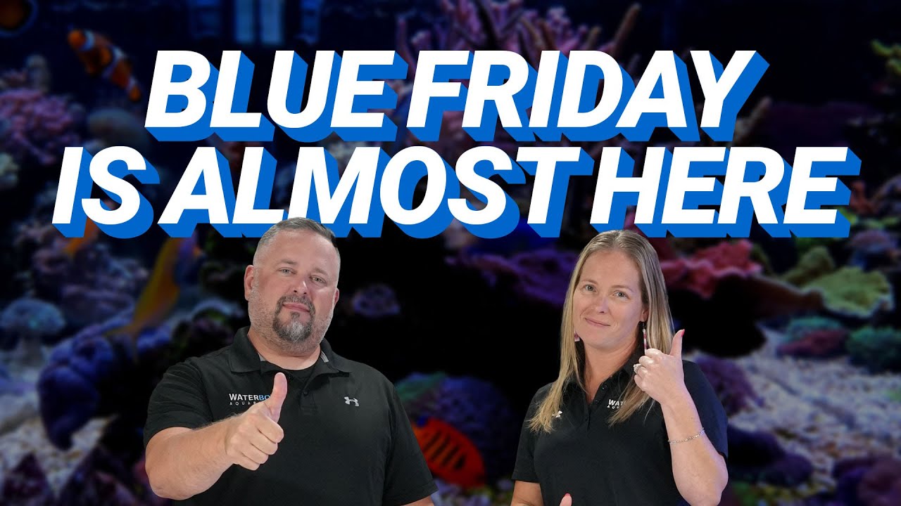 Blue Friday is almost here — and it’s time to get ready! 💙
