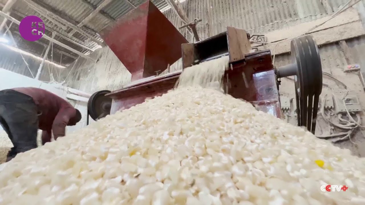Uganda considers banning export of unprocessed grain