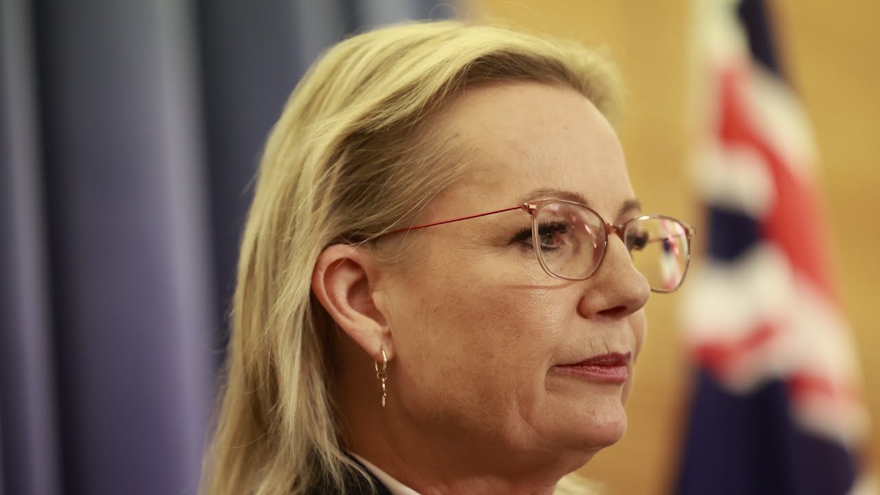 Sussan Ley now facing &lsquo;pressure from two fronts&rsquo; as leadership change rumours circulate