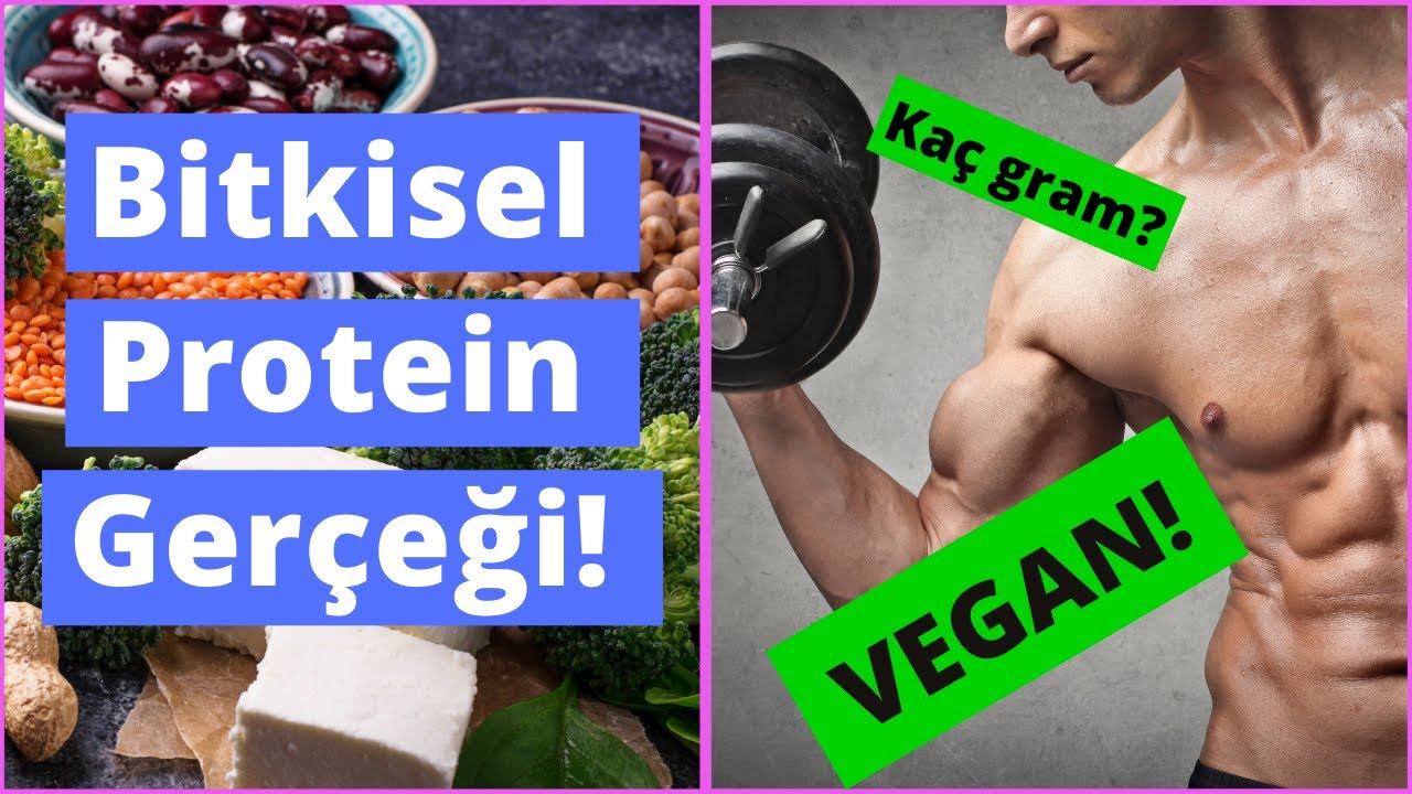 Kas Geliştirmede Bitkisel Protein Hakkındaki Gerçek! (Bitkisel vs Hayvansal Protein)
