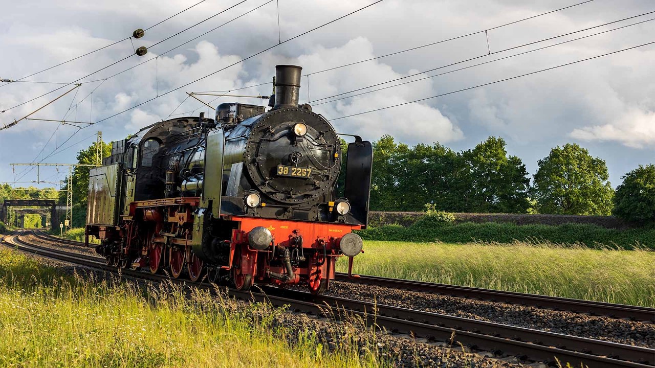 Dampflok 38 2267 zieht Rattenfänger-Express nach Hameln  | 03 2155 auf dem Weg nach Altenbeken