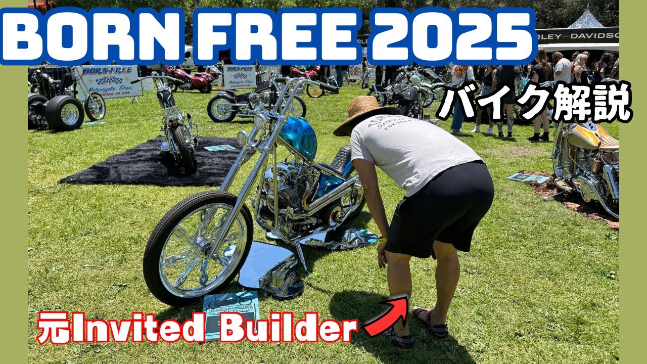 【ハーレー】Born Free 2025!! 元インバイテットビルダーがバイク解説します！