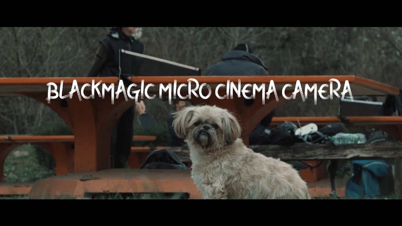 Blackmagic Micro Cinema Camera in 2020  // BMMCC // BMPCC