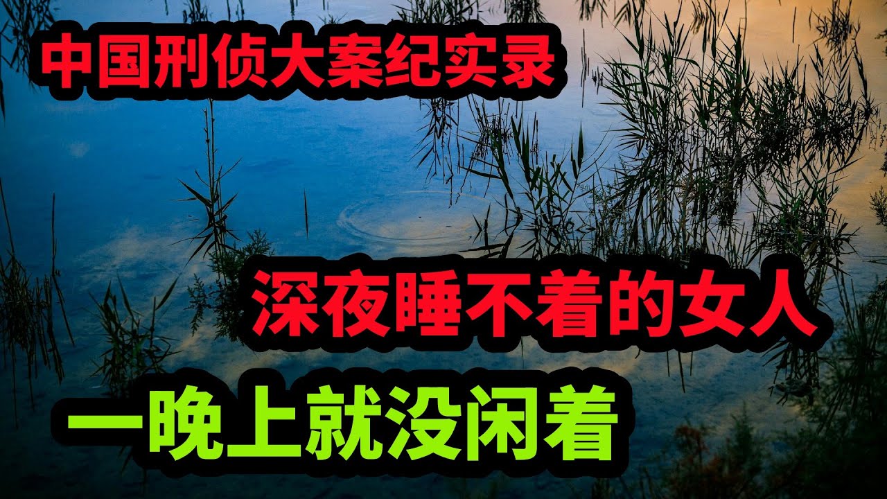 中国刑侦大案纪实录，深夜睡不着的女人