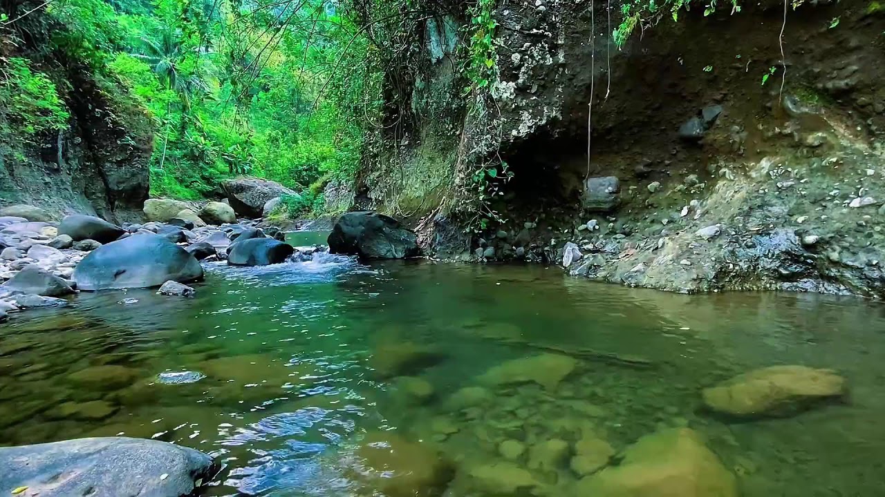 Mountain Stream Water Flow, Forest River Sounds, Sleep White Noise