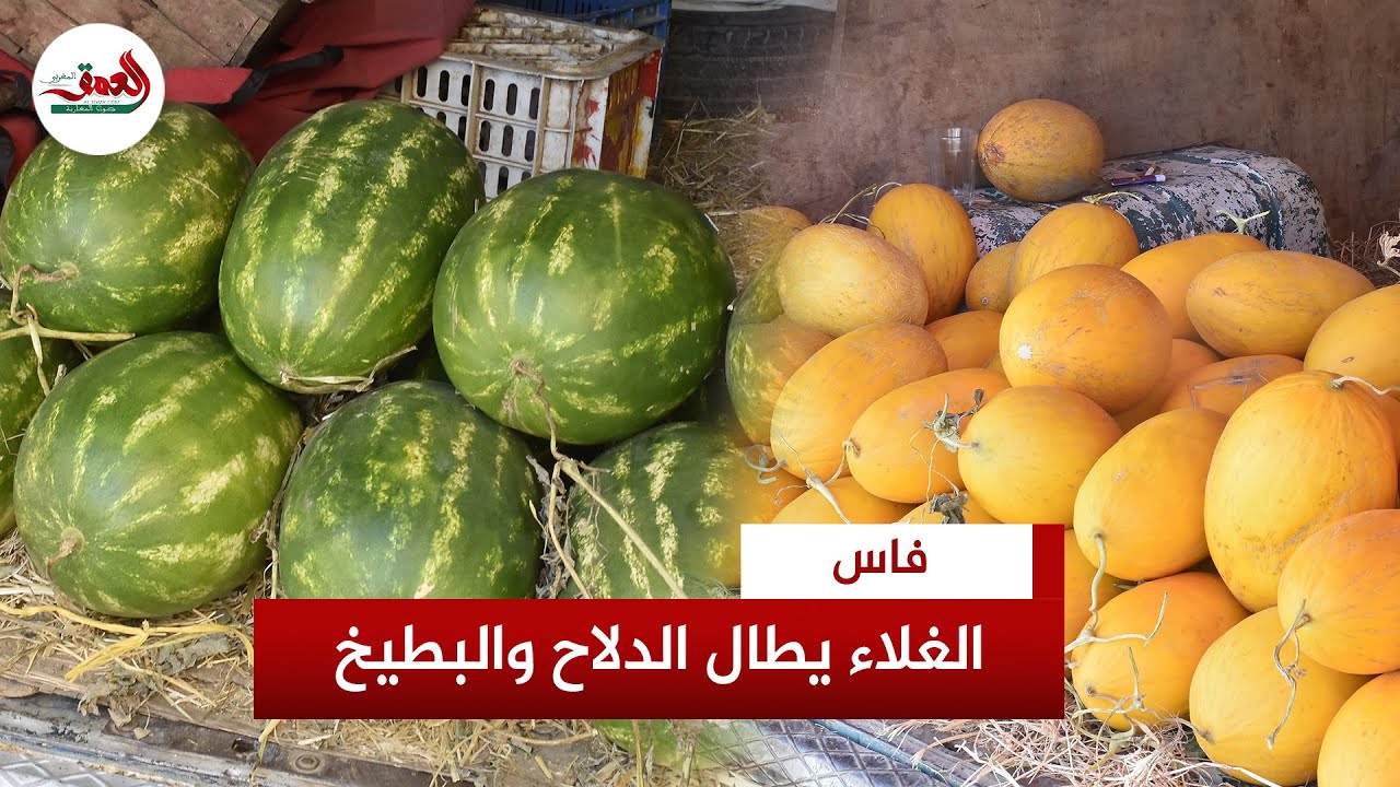 الدلاح 6 دراهم والبطيخ 10 دراهم للكيلو.. الغلاء يطال الفواكه الموسمية وتجار: