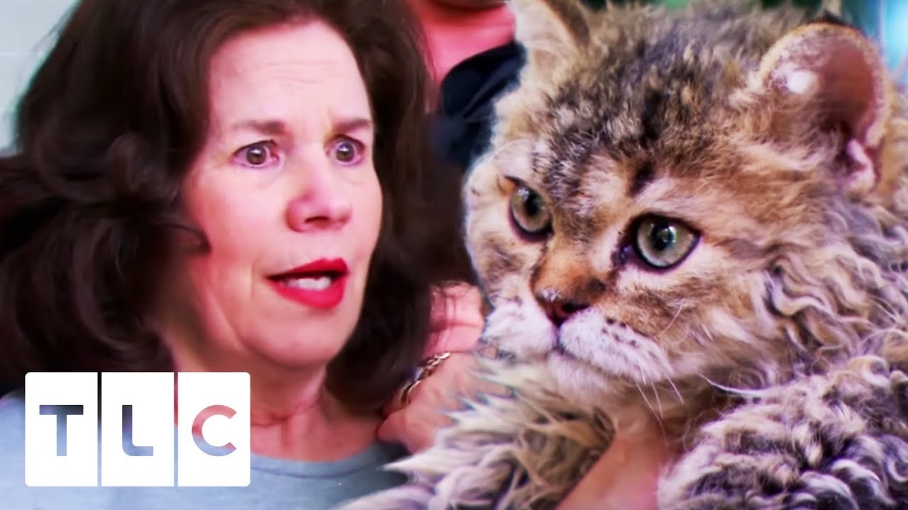 Whitney Surprises Her Mum With A New Cat! | My Big Fat Fabulous Life