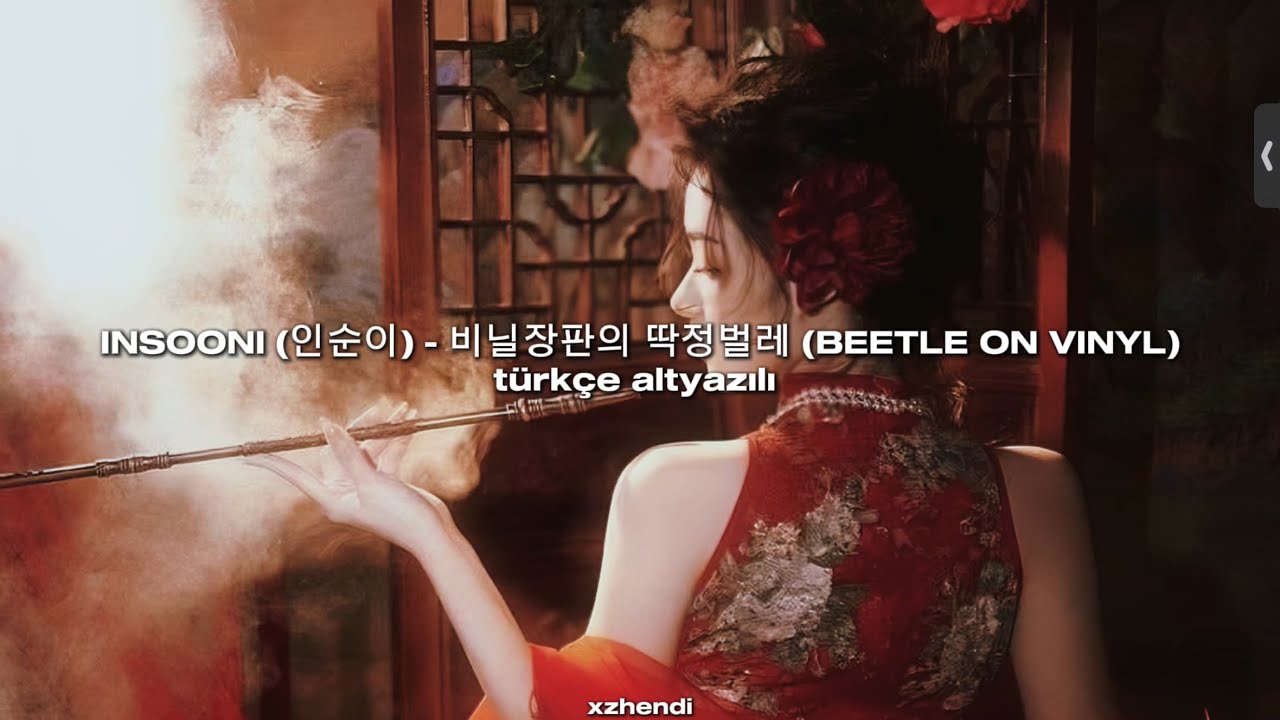 INSOONI (인순이) - 비닐장판의 딱정벌레 (BEETLE ON VINYL) | türkçe altyazılı | SKAİ İSYOURGOD - 八方来财