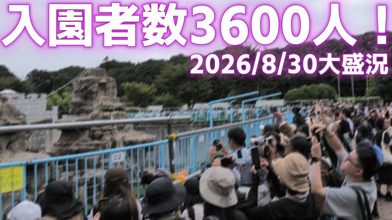 [Monkey Punch] The monkey mountain saw a huge turnout on August 30, with 3,600 visitors.