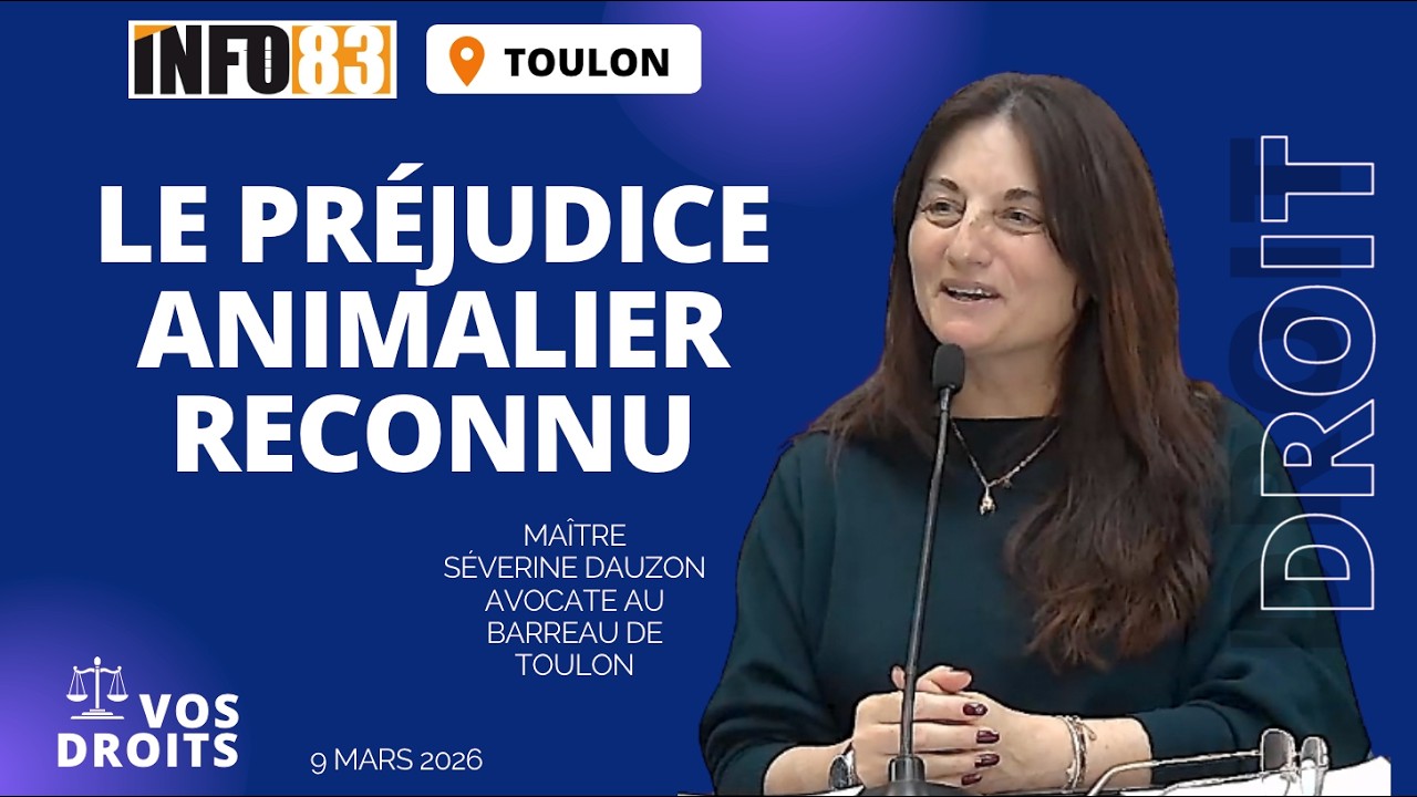 Droit des animaux 2026 : Le pr&eacute;judice animalier reconnu (Interview Me S&eacute;verine Dauzon) | INFO83