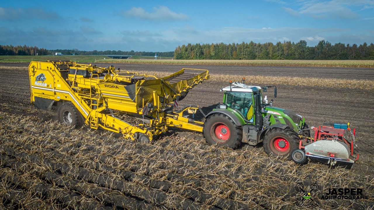 Aardappels rooien | Fendt 718 + Ropa