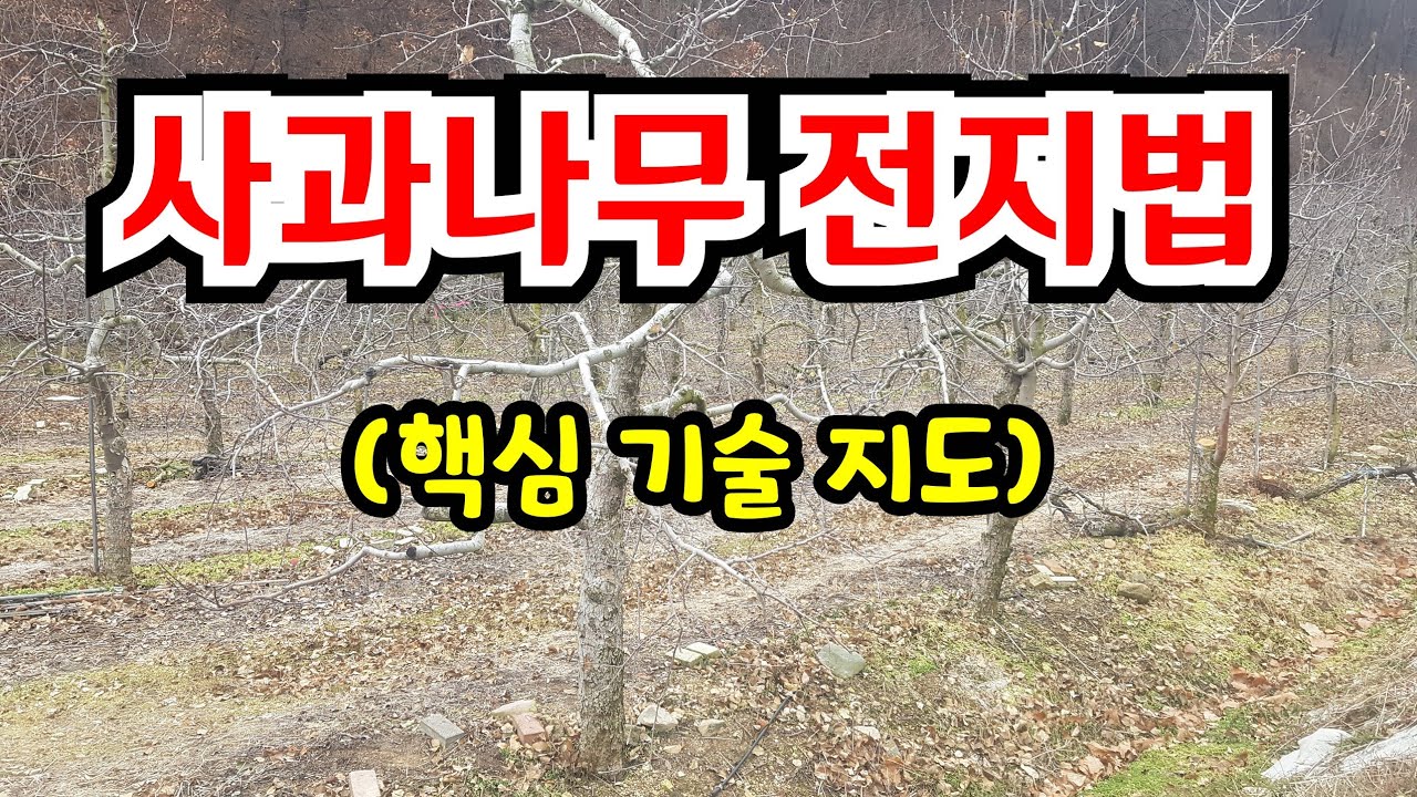 [방치된 나무 살리는 전지의 정석]