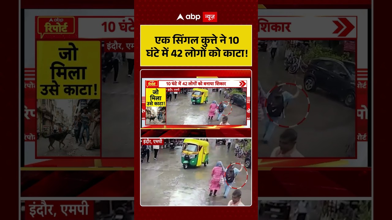 Viral News :एक सिंगल कुत्ते ने 10 घंटे में 42 लोगों को काटा!| latest news | Viral Video | #shorts
