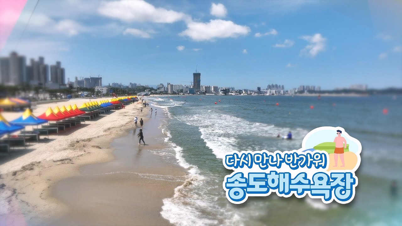 18년 만의 재회, 포항송도해수욕장