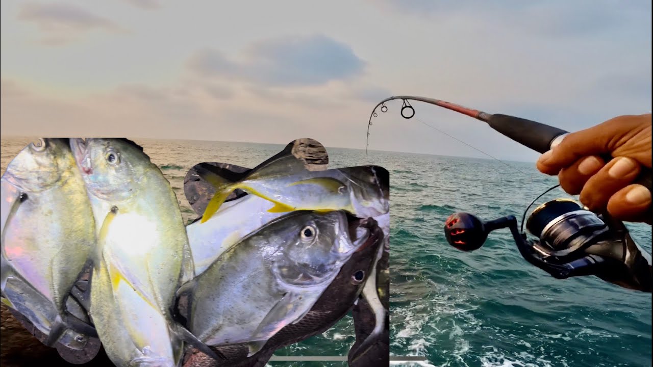 Catching big snapper trevally using jiggs -sinking minnow  crazy fishing non stop catches Coastal
