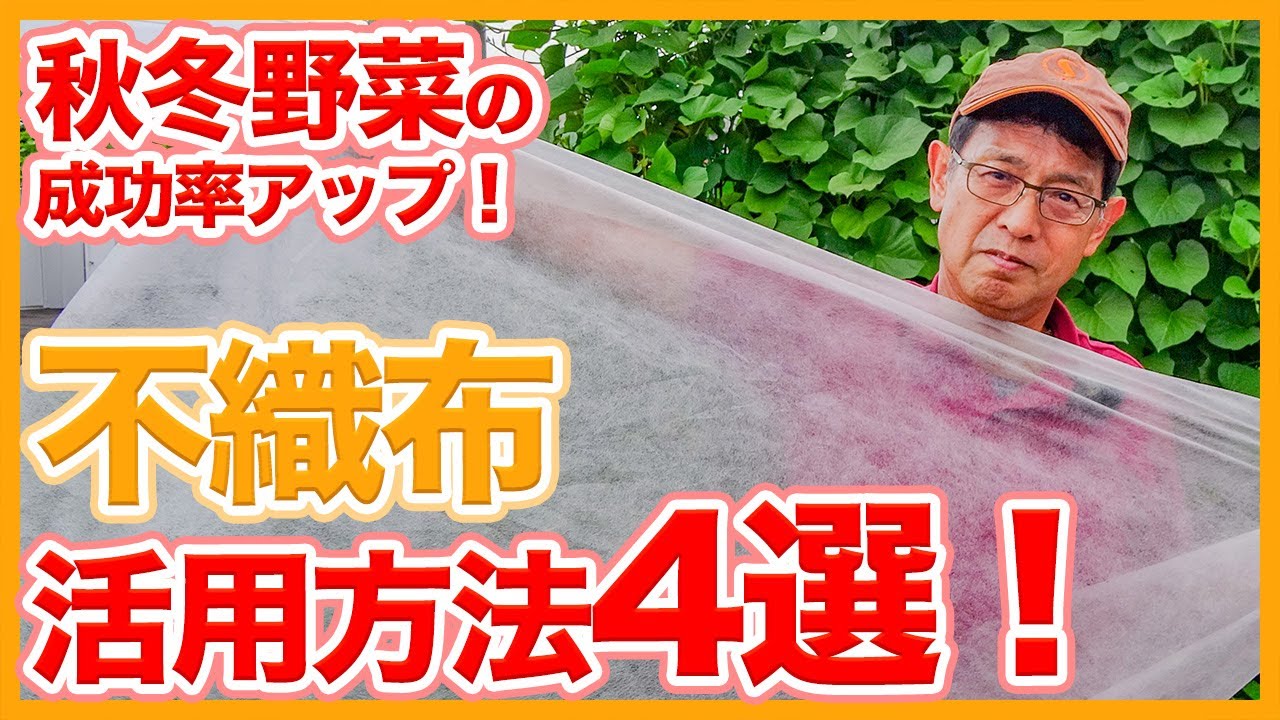 家庭菜園や農園の秋冬野菜栽培の成功率アップ！不織布の活用方法４選！不織布で秋冬野菜の失敗を防ぐコツを徹底解説！【農家直伝】/Tips for using non-woven fabrics.