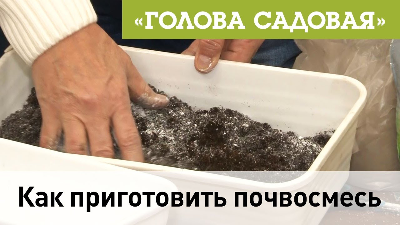 Голова садовая - Как приготовить почвосмесь