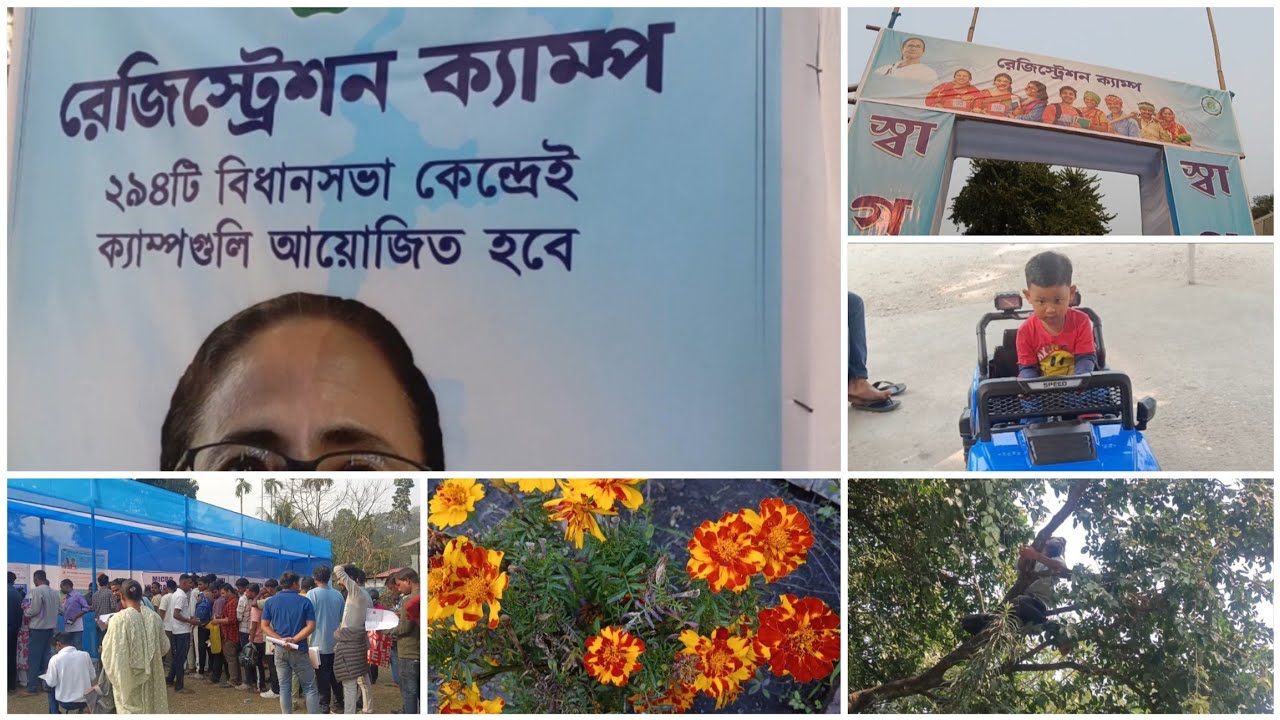 🌿 কিসের রেজিস্ট্রেশন হচ্ছে, সারাটা দিন কিভাবে কাটালাম#lipissimplevlog#dailyvlog 