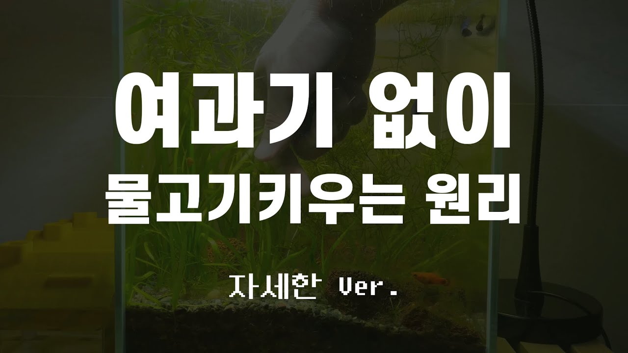 무여과기 원리 자세히 알고싶으신 분들을 위한 영상