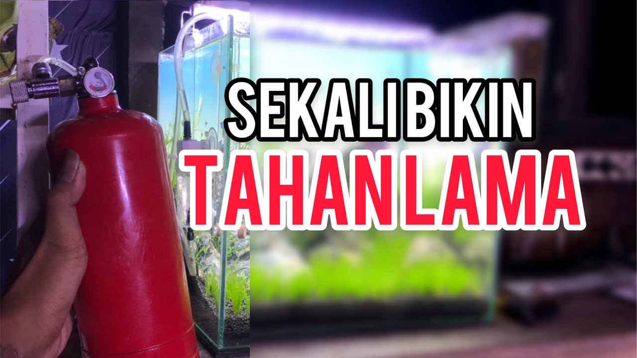 Co2 Tabung Apar Isinya Pakai Ini!! Sudah Pasti Awet!!!