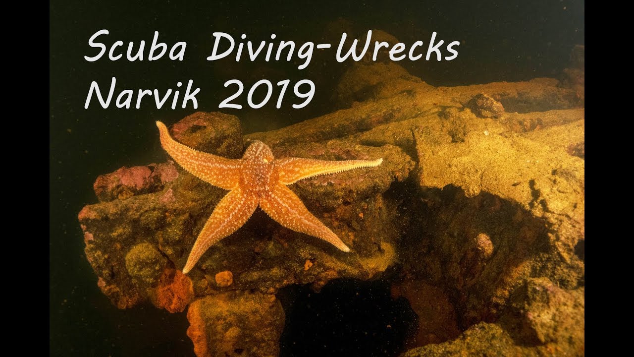 Scuba Diving in Narvik - WW2 wrecks [2019]