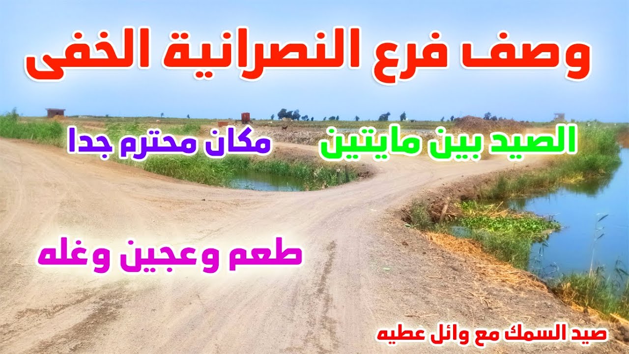 وصف الفرع الخفى من النصرانيةIماية محترمة جدا
