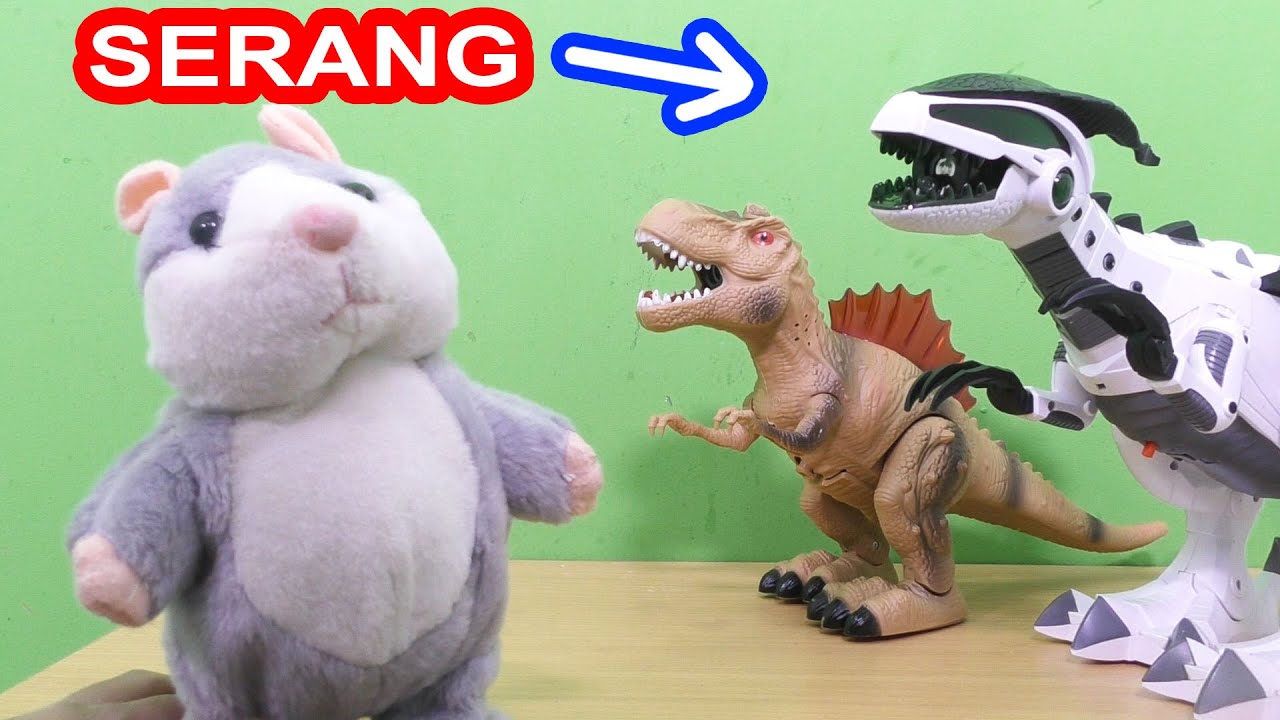 KOMPILASI VIDEO LUCU HAMSTER LEGEND PART 6