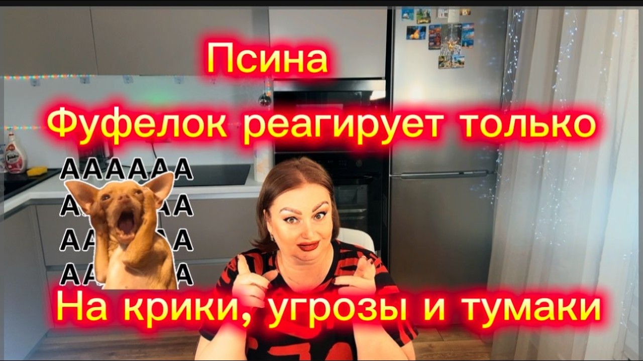 Дрессированный Фуфел понимает только тычки и тумаки🤭Куча велела  завидовать её 