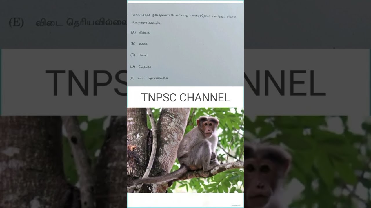 tnpsc group 4 exam in 2025🎯🎯🎯 answer key 🔥🔥🔥vao | tnpsc shorts questionstnpsc group 4 exam in 2025