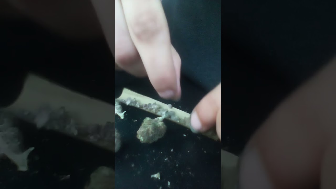 How to roll up weed. A Hemp blunt with Tropicana punch weed strain.