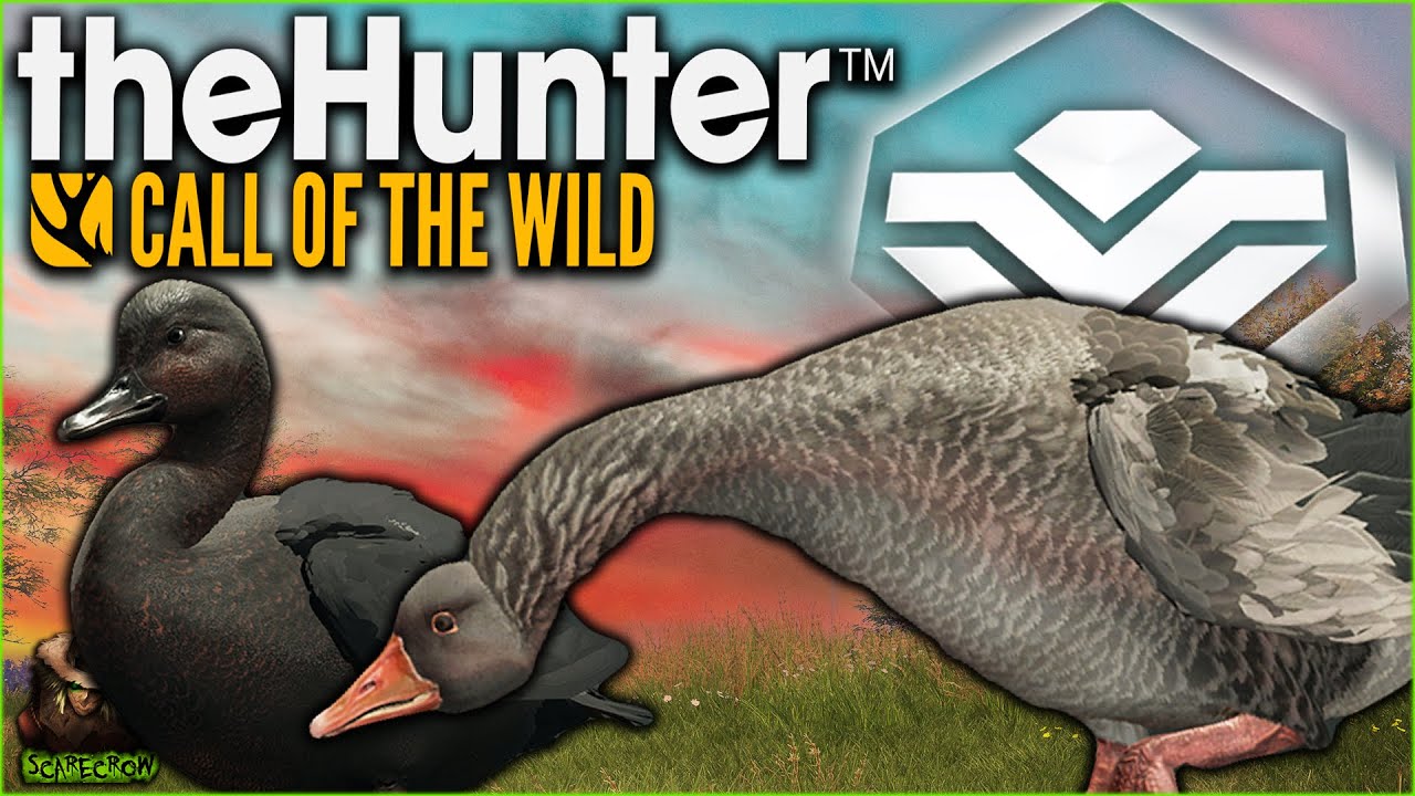 Hunting A Melanistic Gadwall & Diamond Goose On Salzwiesen Park! Call of the wild Early Access
