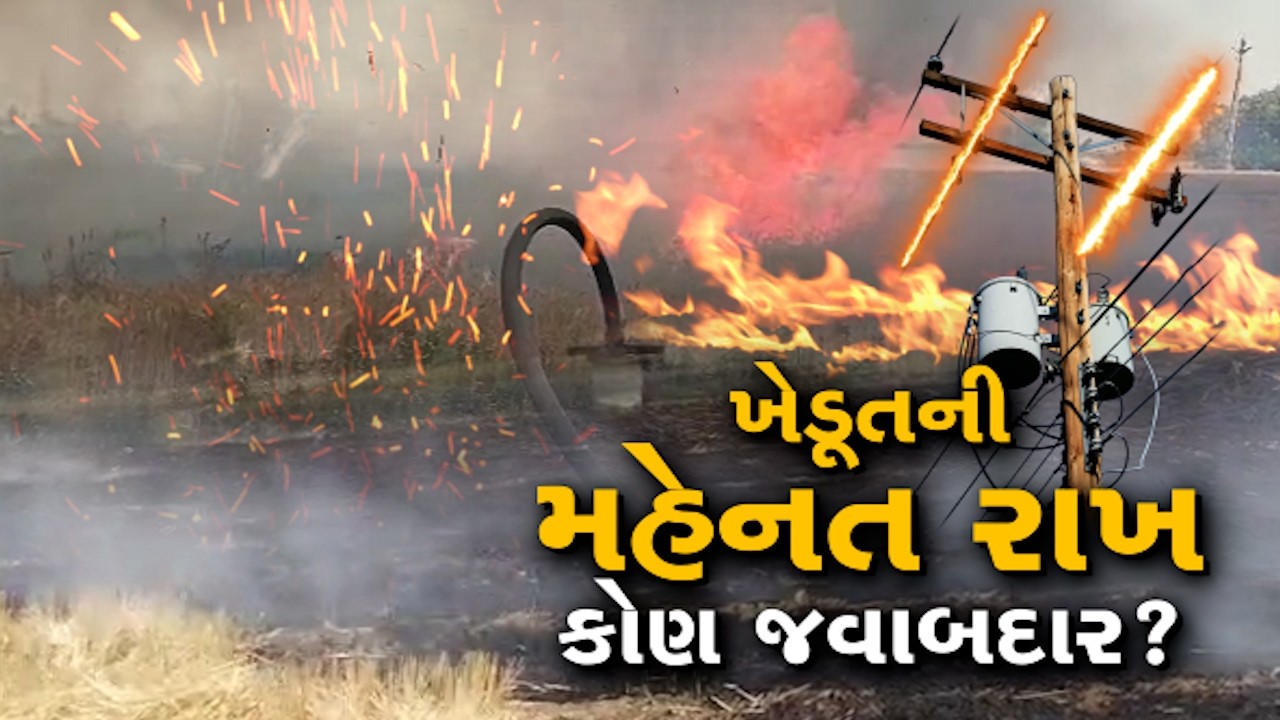 મોરબી-હળવદમાં PGVCLની બેદરકારીથી ખેડૂતને મોટું નુકસાન! 20 વીઘા ઘઉંનો પાક આગમાં ખાખ